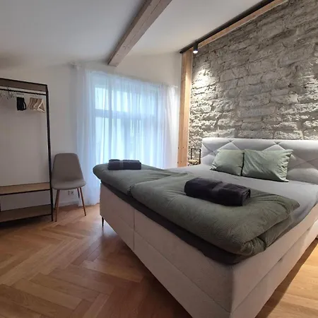 Suur-karja Penthouse Apartmán
