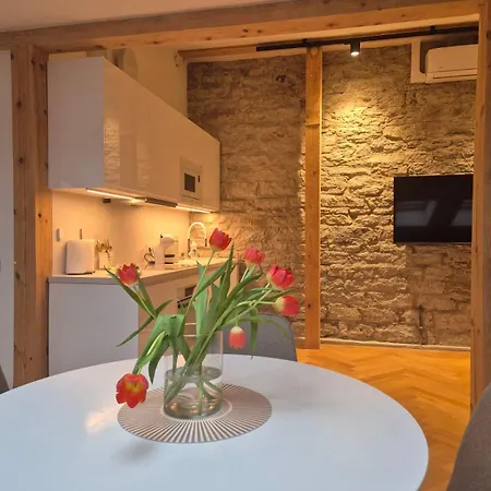 Suur-karja Penthouse *