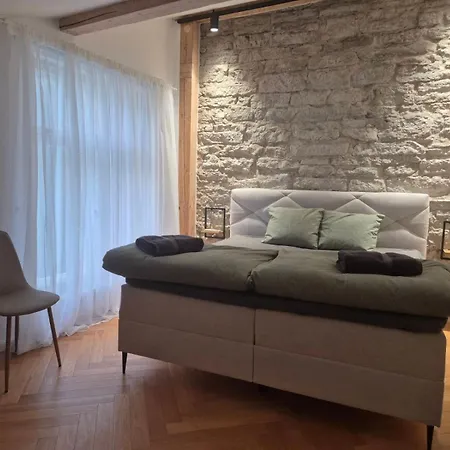 Suur-karja Penthouse Apartmán