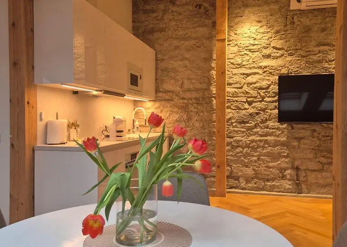 Suur-karja Penthouse *