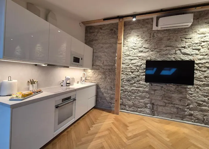 Apartament Suur-karja Penthouse *